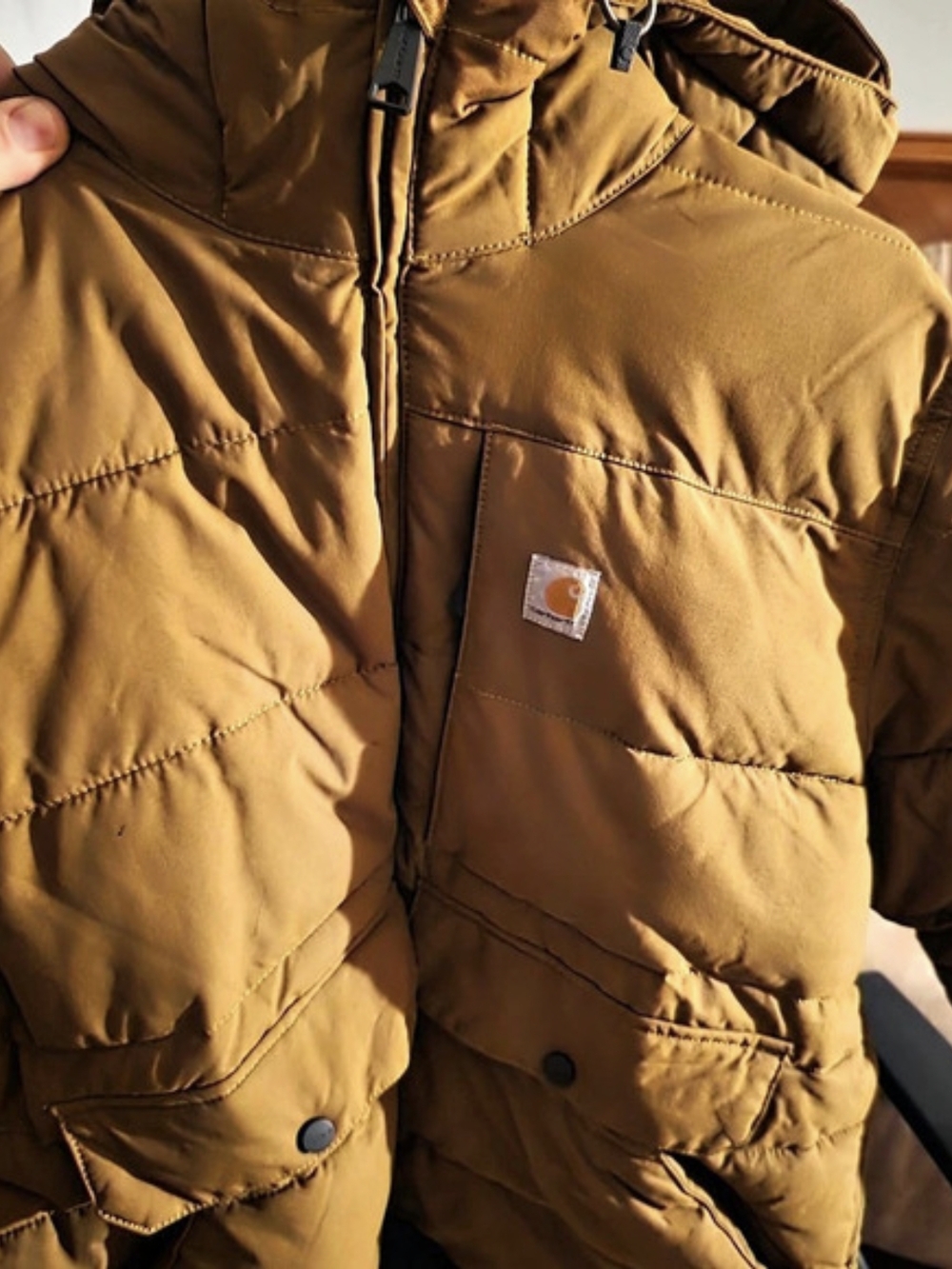 Carhartt Montana Loose Fit Insulated Jacket Men's Brown